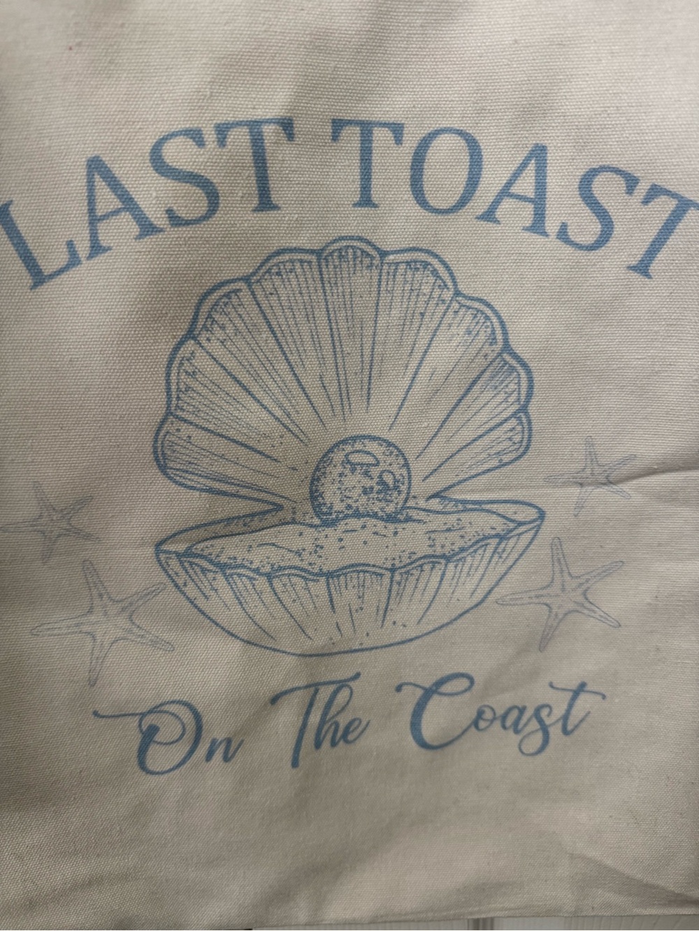 & Other Stories Coastal Shell Canvas Accent in Light Blue